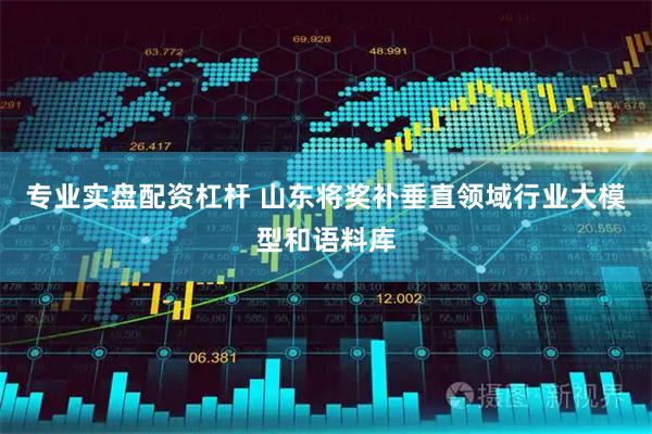 专业实盘配资杠杆 山东将奖补垂直领域行业大模型和语料库