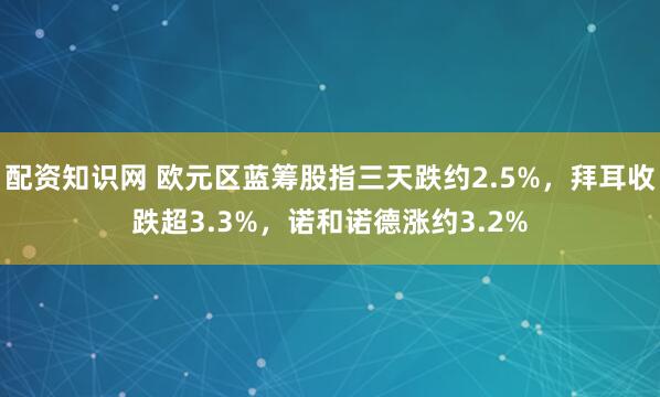 配资知识网 欧元区蓝筹股指三天跌约2.5%，拜耳收跌超3.3%，诺和诺德涨约3.2%