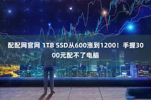 配配网官网 1TB SSD从600涨到1200！手握3000元配不了电脑