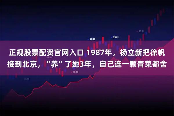正规股票配资官网入口 1987年，杨立新把徐帆接到北京，“养”了她3年，自己连一颗青菜都舍