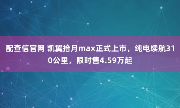 配查信官网 凯翼拾月max正式上市，纯电续航310公里，限时售4.59万起